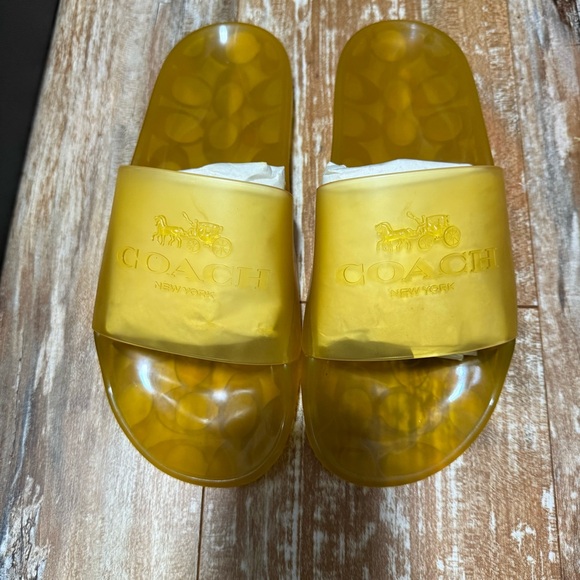 Coach Translucent Yellow Slides - Picture 1 of 4